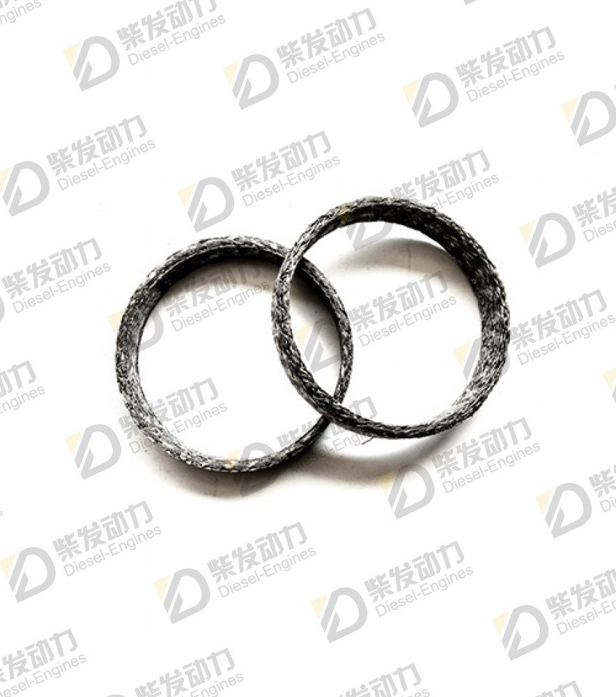 Sealing ring 11158143 